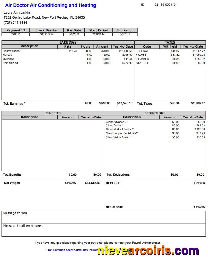 Air Doctor Paystub
